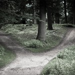 By Carsten Tolkmit from Kiel, Germany (crossroads) [CC-BY-SA-2.0 (https://creativecommons.org/licenses/by-sa/2.0)], via Wikimedia Commons
